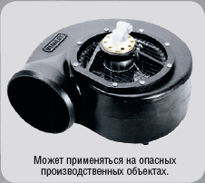 VF80 Stanley